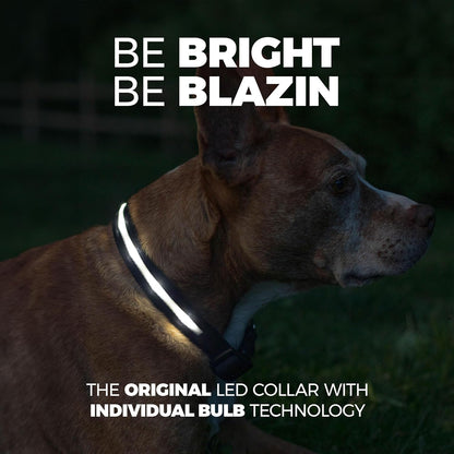 Light up Dog Collar - the Original LED Dog Collar - USB Rechargeable - Waterproof - 1,000 Feet of Visibility - Dog Collar Light for Small, Medium, Large Dogs - USA Brand