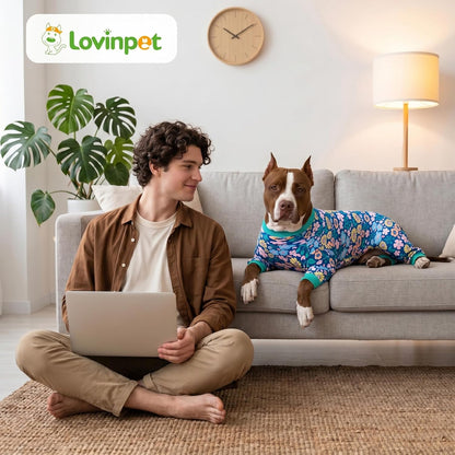 Onsie for Dog after Surgery Big Dogs, Big Dog Clothes, Post Surgery Onesie, Lightweight Fabric Pitbull Dog Pullover Pajamas, Puppy Pajamas, Pitbull Clothes, Blue Green M