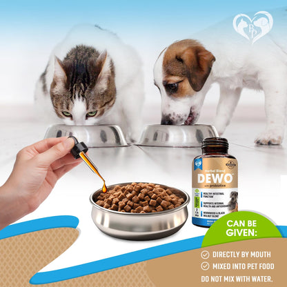 Natural Intestinal Defense for Dogs & Cats – Herbal Cleanse with Black Walnut & Probiotic – Promotes Healthy Gut & Flora Balance – Advanced Broad Spectrum Formula