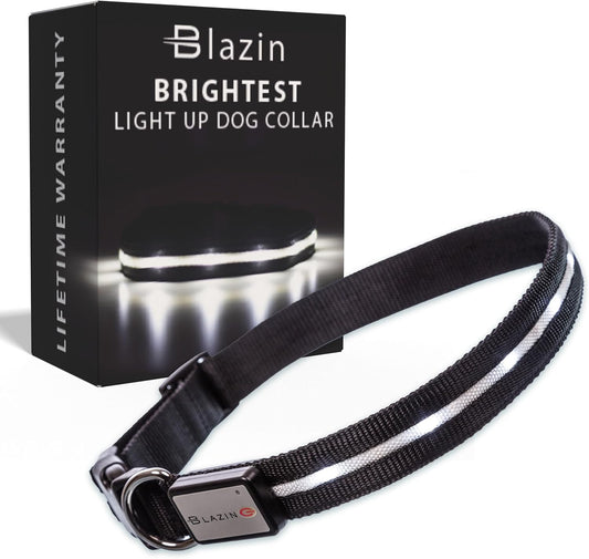 Light up Dog Collar - the Original LED Dog Collar - USB Rechargeable - Waterproof - 1,000 Feet of Visibility - Dog Collar Light for Small, Medium, Large Dogs - USA Brand